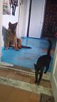     
: zMX8o08RIQg.jpg
: 18
:	46.4 
ID:	10849946