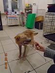     
: 2016-02-13 14-35-58.jpg
: 5
:	84.3 
ID:	10849983