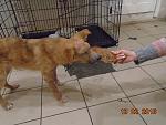     
: 2016-02-13 14-35-04.jpg
: 8
:	153.0 
ID:	10849984