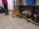     
: 2016-02-13 14-32-58.jpg
: 6
:	147.6 
ID:	10849997