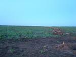     
: DSC06199-1.JPG
: 45
:	161.5 
ID:	10851103