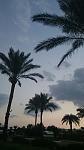     
: DSC_0811.JPG
: 14
:	34.4 
ID:	10854944