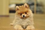     
: DSC_0183.jpg
: 17
:	62.8 
ID:	10857579