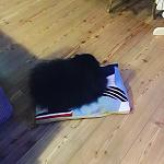     
: IMG_4040.jpg
: 22
:	126.6 
ID:	10866957
