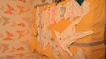     
: P_20160212_213321.jpg
: 5
:	95.4 
ID:	10868858