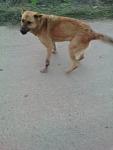     
: 0TxsHINTSf4.jpg
: 6
:	41.5 
ID:	10868890