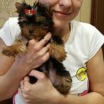     
: uploadfromtaptalk1455956998679.jpg
: 25
:	57.1 
ID:	10874511