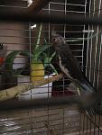     
: IMG_1324.jpg
: 164
:	99.4 
ID:	10879727
