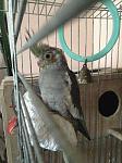     
: IMG_2880.jpg
: 178
:	126.1 
ID:	10879729