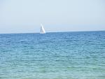     
: P5010040.jpg
: 23
:	111.7 
ID:	1088075