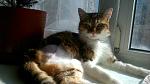     
: DSC_0660.jpg
: 23
:	102.2 
ID:	10883175