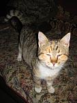     
: IMG_0124.jpg
: 12
:	113.4 
ID:	10883229