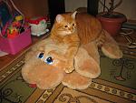     
: IMG_0388.jpg
: 32
:	158.8 
ID:	1088834