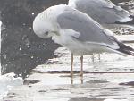     
: IMG_0393.jpg
: 15
:	140.1 
ID:	10890868