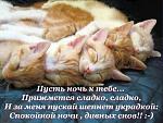     
: uploadfromtaptalk1456351287228.jpg
: 5
:	66.4 
ID:	10893005
