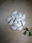    
: 20160224_154627.jpg
: 25
:	70.6 
ID:	10897445