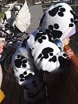     
: IMG_20160225_144009.jpg
: 43
:	95.1 
ID:	10897696