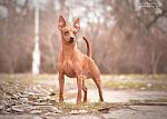     
: DSC_0031.jpg
: 16
:	75.6 
ID:	10899085
