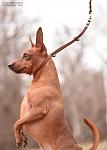     
: DSC_0011.jpg
: 20
:	60.3 
ID:	10899087