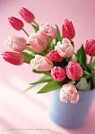     
: image.jpg
: 15
:	56.2 
ID:	10901010