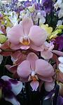     
: IMAG0285.jpg
: 10
:	77.4 
ID:	10901829