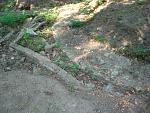     
: DSC06951.jpg
: 6
:	186.2 
ID:	10905849