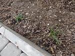     
: 12715208_718823364920634_7908545757287407137_n.jpg
: 62
:	191.3 
ID:	10905901
