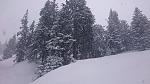     
: DSC_0561.jpg
: 31
:	164.9 
ID:	10906109
