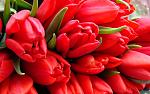     
: 0dd17b13425f0bdae3912a122d63484e.jpg
: 27
:	70.6 
ID:	10912869