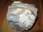     
: IMG_1129.JPG
: 24
:	159.2 
ID:	1091363