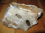     
: IMG_1133.JPG
: 36
:	191.7 
ID:	1091366