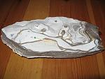     
: IMG_1134.JPG
: 30
:	174.7 
ID:	1091368