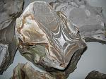     
: IMG_1112.JPG
: 58
:	192.1 
ID:	1091376