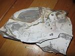     
: IMG_1155.JPG
: 31
:	191.4 
ID:	1091396