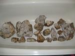     
: IMG_1079.JPG
: 32
:	149.2 
ID:	1091410