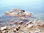     
: 100_1601.jpg
: 18
:	248.6 
ID:	1091788