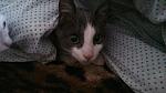     
: DSC_0677.jpg
: 17
:	74.6 
ID:	10920708