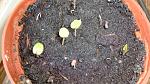     
: DSC05519.JPG
: 16
:	221.9 
ID:	10922666