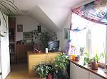     
: IMG_6603.JPG
: 35
:	198.5 
ID:	10924195