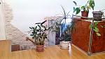     
: IMG-1455378428748-V.jpg
: 43
:	151.8 
ID:	10924196
