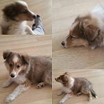     
: OP-Y8mYryyI.jpg
: 33
:	85.1 
ID:	10925976