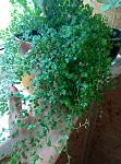     
: 2016-03-05+13-32-06.jpg
: 157
:	126.3 
ID:	10927789