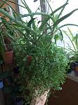     
: 2016-03-05+13-31-07.jpg
: 175
:	115.1 
ID:	10927790