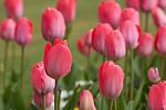     
: Dave Kirkham_Depth of Field_YkdjSGI.jpg
: 16
:	68.0 
ID:	10930040