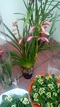     
: DSC_0325.jpg
: 21
:	99.8 
ID:	10932137