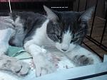     
: IMG_20160306_200615.jpg
: 19
:	116.4 
ID:	10932820
