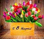     
: RmJjn165F2s.jpg
: 8
:	232.2 
ID:	10933606