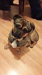     
: 20160307_204333.jpg
: 25
:	67.9 
ID:	10935792