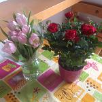     
: image.jpg
: 21
:	115.7 
ID:	10936749