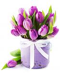     
: vosmoe-marta-477.jpg
: 5
:	95.8 
ID:	10936757